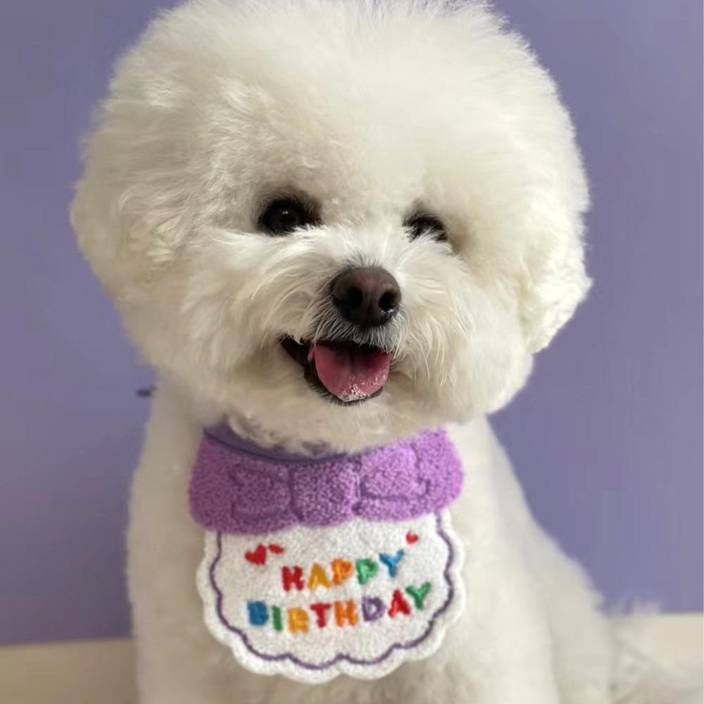 Vibrant Print Pet Birthday Bib Soft Fabric Dog Party Outfit Pet Birthday Hat Pet Photo Taking