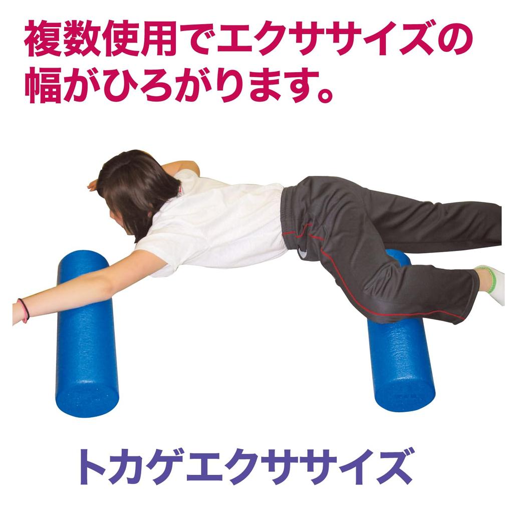 Hata Sports Equipment Foam Roller Круглый Короткий Тип FES-2000