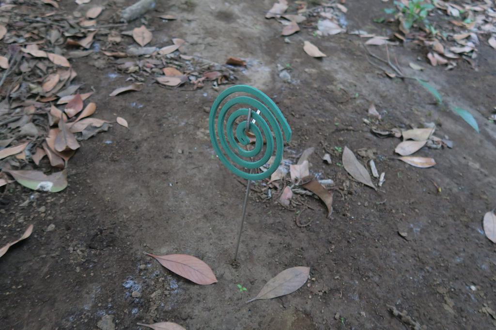 HOBI из твердой нержавеющей стали с 8 игольчатыми колышками, баланс между легкостью и фиксацией, которые не сломаются [Сделано в Японии], колышки, Скорпион, 31 см, [Погоня