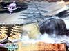 Фигурка One Piece DXF THE GRANDLINE SHIPS Моби Дик Banpresto том 2