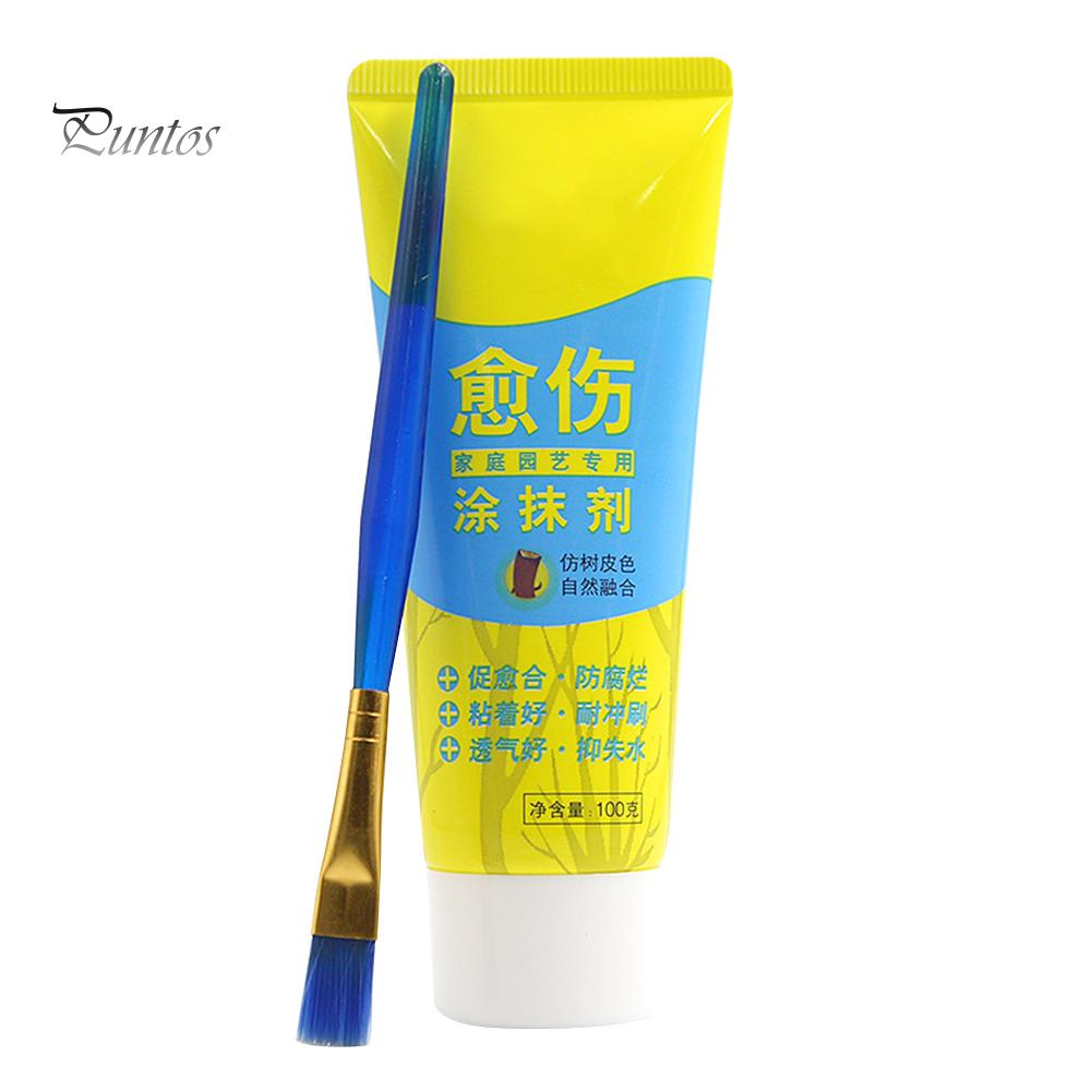 Puntos 100 г паста для порезов ран на дереве, мазок, средство для обрезки, герметик с кистью