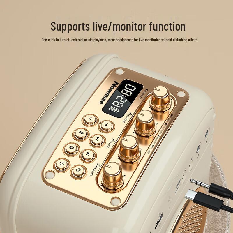 Newman K513 Portable Bluetooth KTV Speaker with Dual Mics