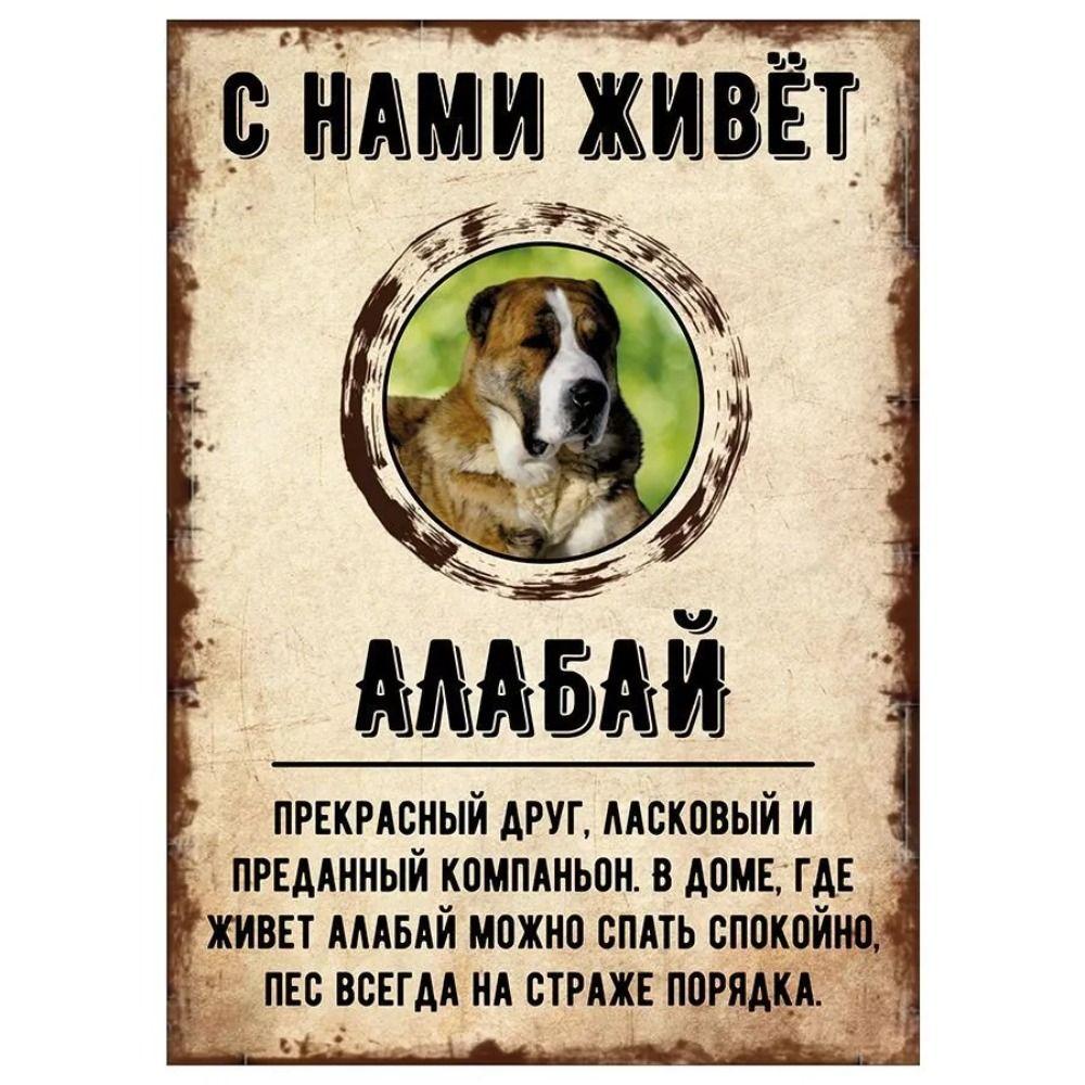 ОСТОРОЖНО СОБАКА Забавная Шнауцер Металлическая Табличка Декор для Питомца 20x30см
