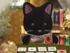 Куклы Sylvanian Families Кукла Небесный Кот ST Игрушка, сертифицированная знаком ST Кукольный домик для детей от 3 лет и Sylvanian Families от Epoch [Звездная семья] FS-38 и старше,