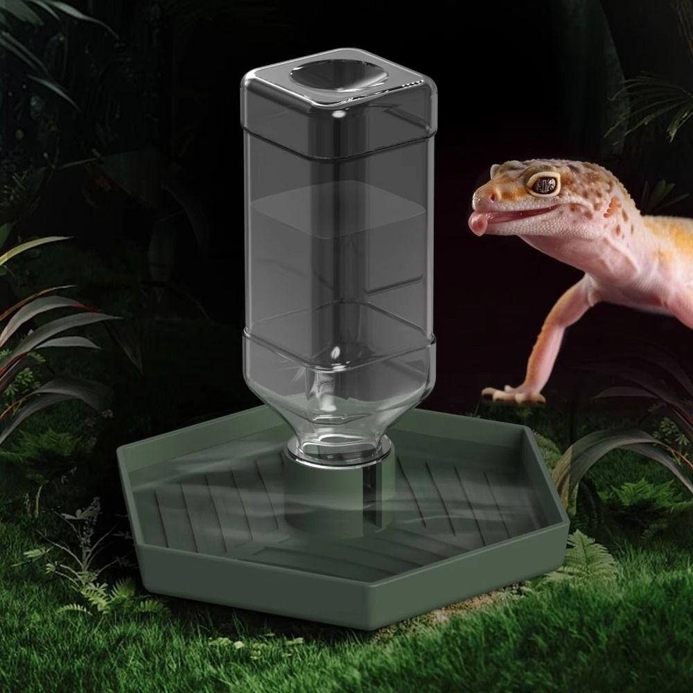 Stable Turtle Water Bowl Anti-slip Automatic Water Dispenser Lizard Food Feeder for Amphibians