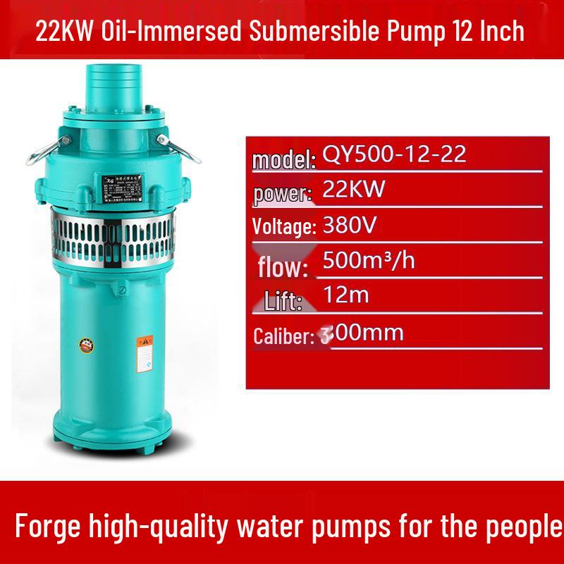 Qy High-Head Three-Phase Submersible Pump, 380V, 22kW/30kW, Ideal for Farmland Irrigation