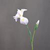 1PC Wedding Decoration Fake Flowers Flower Arrangement 2 Heads Silk Home Decor Iris Flower Branch Iris Flores Artificial Flower