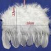10 Pieces Mini White Feather Wings for Crafts and Decorations