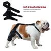 Updated Protects Bandage Dog Arthritis Protector Cover Dog Leg Support Dogs Hock Joint Brace Pet Knee Pads Dogs Injury Recovery