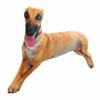 Realistic Plush Pillow Lifelike Stuffed Puppy Dog Greyhound Stuffed Animal  Sleeping Companion