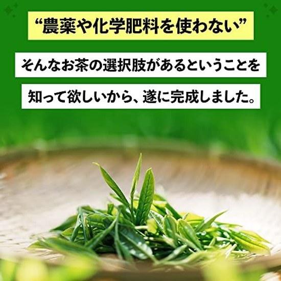 Mizutama Farm tea grown without pesticides chemical fertilizers green bags 2.5g50p (pesticide-free fertilizer-free cold brew pack) (Pack Non-Pesticide