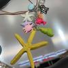 Zinc Zinc Alloy Ocean Style Keychain Candy Color Shell Tassel Pendant Beaded Starfish Turtle Keyring  Gifts