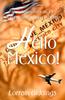 Книга Hello Mexico! : How Americans Can Get Along and Enjoy Living In Mexico
