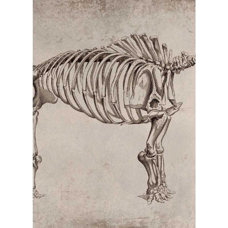 Классический Ретро Таинственный Скелет Ископаемого Динозавра Арт Постер Холст Принт Настенное Искусство Картины Гостиная Спальня Украшение Дома