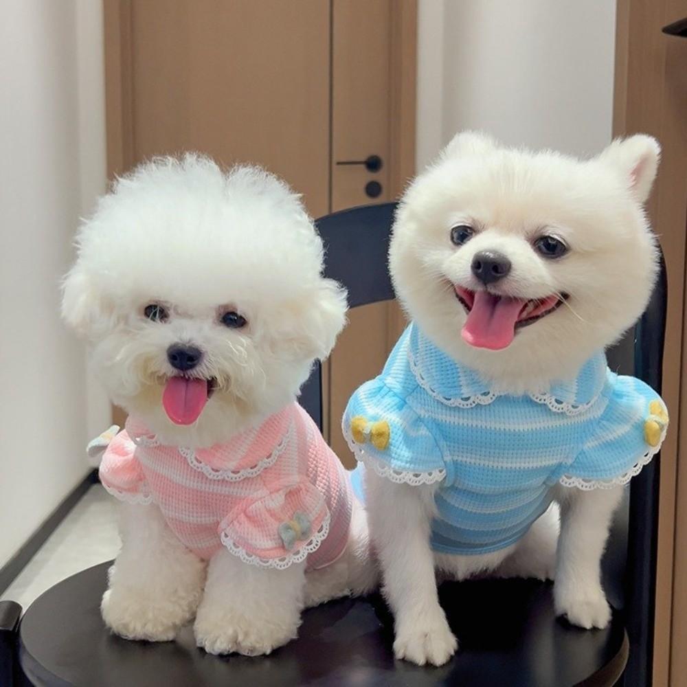 Stripe Design Dog Lace Knit Vest Ruffle Sleeves Dog T-Shirt Cute Pet Hoodie Daily Wear