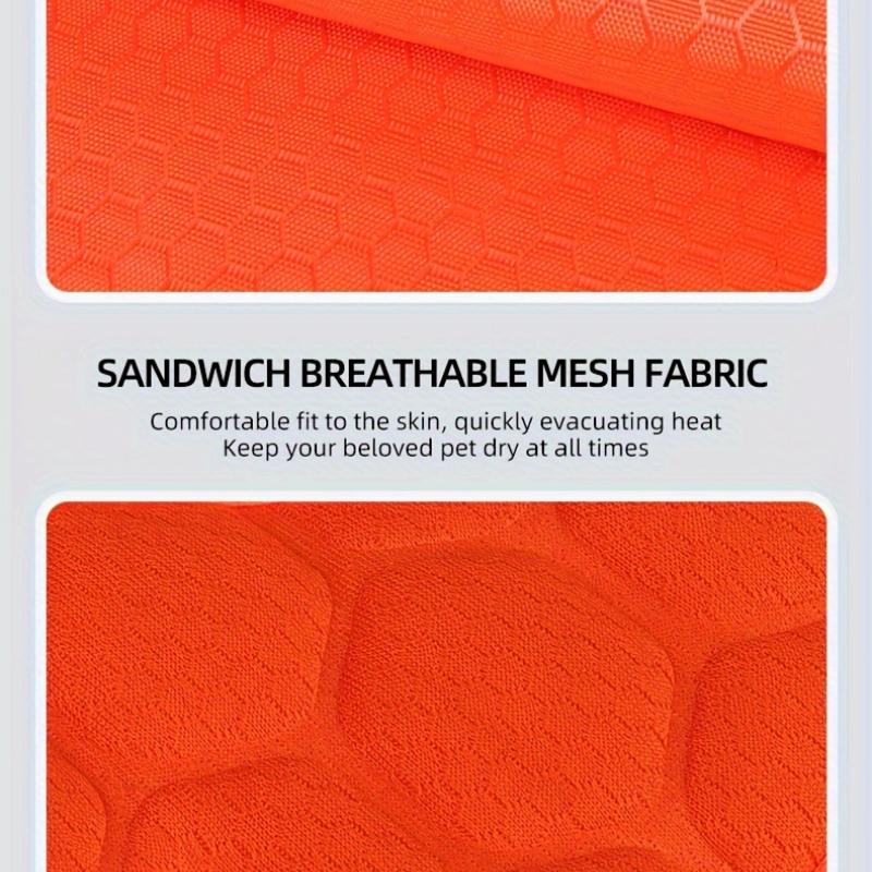 Регулируемая и взрывобезопасная шлейка и поводок для собак для безопасного и веселого отдыха на свежем воздухе с вашим питомцем #King's day