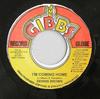 7-дюймовая пластинка DENNIS BROWN Im Coming Home NONE Joe Gibbs Records 1999 Ямайка Регги Ска Даб Б/у