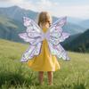 Fairy Wings for Girls Glitter Transparent Butterfly Wings Fairy Costume Halloween Angel Elf Dress Up Accessories for Masquerade Photography