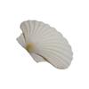 Large White Scallops Shells for Painting Crafts and Beach Wedding Decors Natural White Seashells 3-5 Inches
