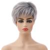 Short Silver-White Synthetic Wig for Women