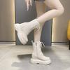 Autumn and Winter Thick-soled Muffin Bottom Non-slip Solid Color High-top Lace-up Martin Boots Female Internet Celebrities Ins Super Fire Short Boot