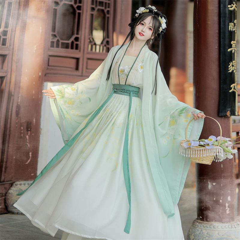 Chinese Song Dynasty Style Hanfu Women's Wear Daily Pleated Skirt Set