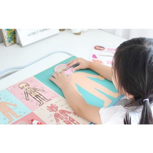 Карта человеческого тела, версия. 2 пазла, 1, 85 деталей, Korea Best Toddler Puzzle Puzzle