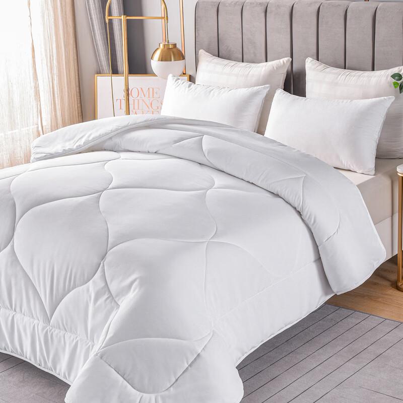 LOVO Luxurious All-Season Warm Quilt