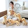 Cute Simulation Golden Retriever Doll Plush Toy Puppy Dog Doll Children Soothing Rag Doll Home Living Room Ornament