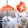 Plastic High Strength Hanging Chain Veterinary Food Appeal Farm Animals Piglet Chew Bite Toy