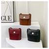Stylish New Texture Handheld Shoulder Bag 2024 French Bag Women's Trendy Bucket Crossbody Bag