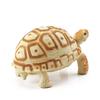 Realistic Turtle Action Figures Simulation Tortoise Animals Figurines Sea Turtle Model  Collection