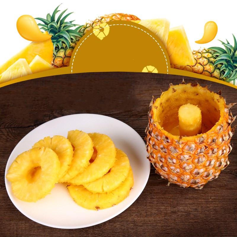 A-Level Pineapple Peeler Cutter Slicer Corer Peel Core Tools Fruit Vegetable Knife