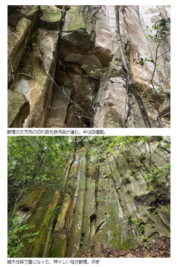 Natural Whetstone Iyo Name Toshibori Rough #20 / 1,551g