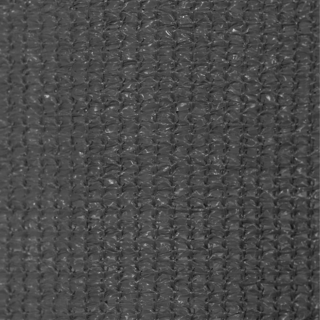 Outdoor Roller Blind 60 x 230 cm Anthracite