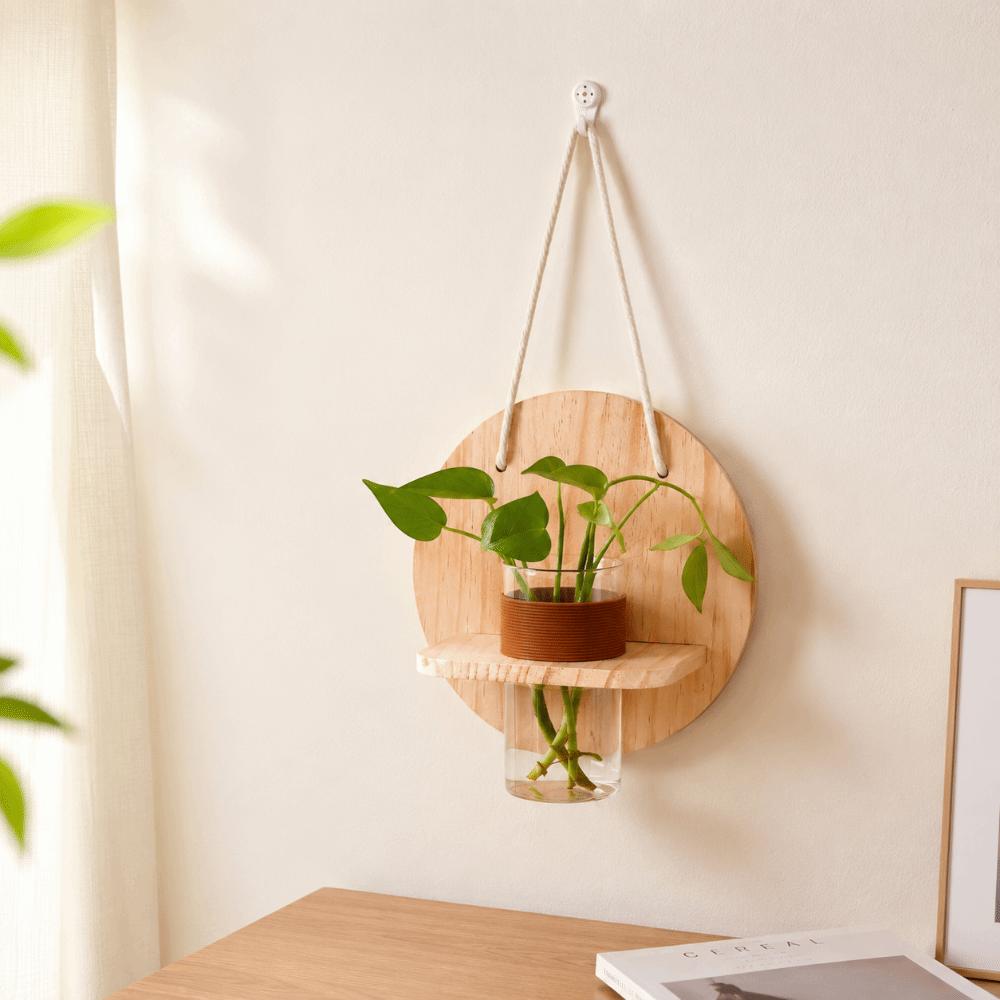 Wooden Wall Hanging Planter Holder Home Ornaments Hydroponic Planter Shelf  Hydroponics