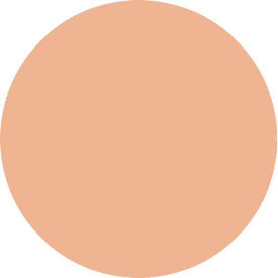 Vision Foundation Powder Silk Type Ochre 03 Exbeaute (Refill) Sponge Included/Natural