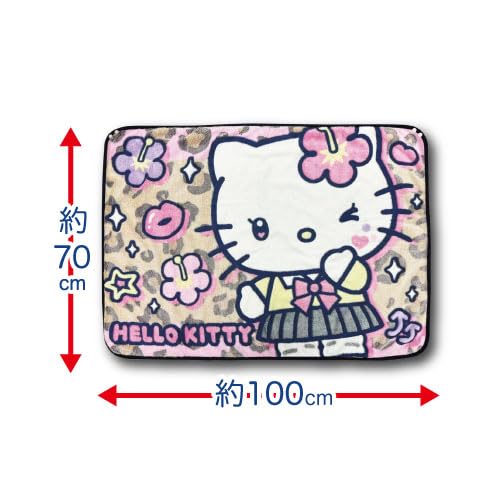 Hatayama Shoji Sanrio 3D Throw, 70x100cm, Hello Kitty Brown, Approx. H70xW100cm, 66203224