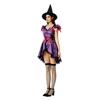 Halloween costume babes sexy show costume witch costume witch vampire sexy spider dress female