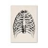 Vintage Human Anatomy Artwork Medical Wall Picture Muscle Skeleton Poster Canvas Art Print Education Hospital Pharmacy Paintings