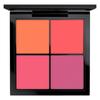Pro Face Palette Blush