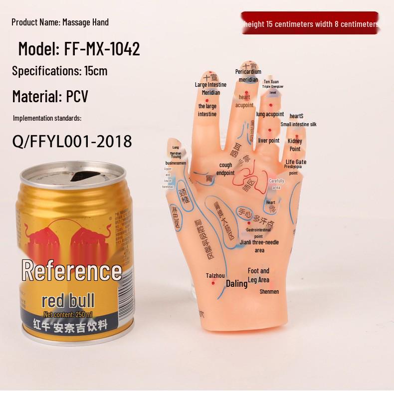 18cm Ear Mold with 15cm Reflexology Hand Model: Multi-Acupoint Reference for Ear Acupressure