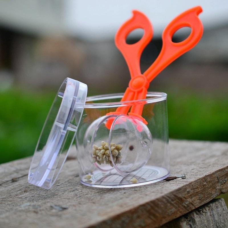 Nature Exploration Toy Kit for Kids Plastic Scissor Clamp & Tweezers Plant Insect Study Tool