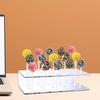 2Pcs Lollipop Display Stand Sturdy Construction Food-Grade BPA Free Transparent 15 Holes Candy Pop Acrylic Lollipop Hold Stand