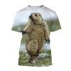 Summer Round Neck 3D Marmot Printed Top Fashionable Casual Short Sleeved Men's T-shirts