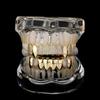 Gold Grillz Vampire Fangs: Trendy Diamond Inlay Halloween Tooth Jewelry for Men