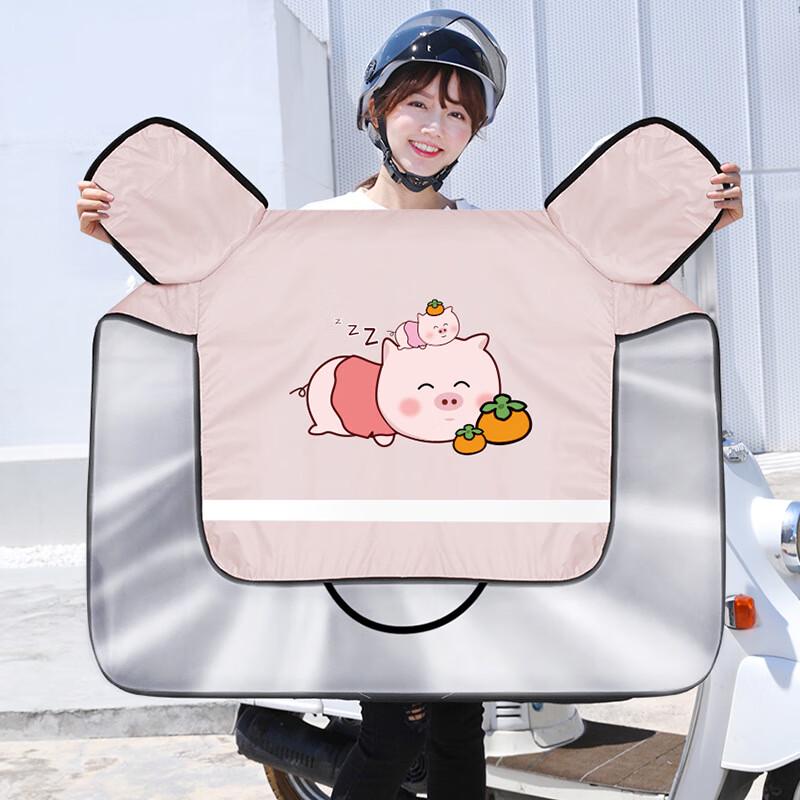 Ветрозащитный солнцезащитный чехол для электромобиля