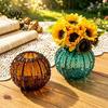 Luxury Room Aesthetic Decor Cactus Glass Vase, Transparent Modern Flower Vase for Dried Flowers & Fresh Versatile Home Accent Floral Arrangements,