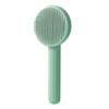 HiJB Pain-free Pet One-touch Brush, Mint, 1 Piece, Korean Pet Shampoo