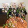 Transparent Display Stand Decorative DIY Photo Frame Glass Picture Frame For Dried Flowers